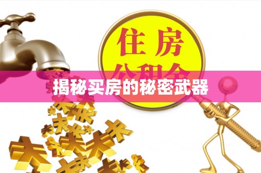 石首揭秘买房的秘密武器