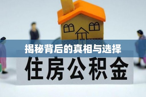 石首揭秘背后的真相与选择