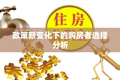 石首政策新变化下的购房者选择分析