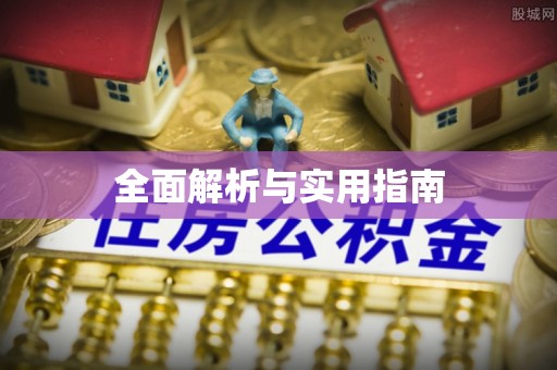 石首全面解析与实用指南