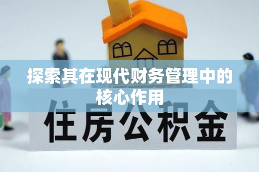 石首探索其在现代财务管理中的核心作用