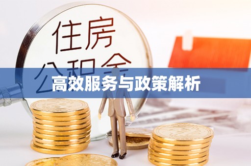 石首高效服务与政策解析