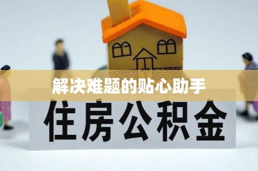 石首解决难题的贴心助手