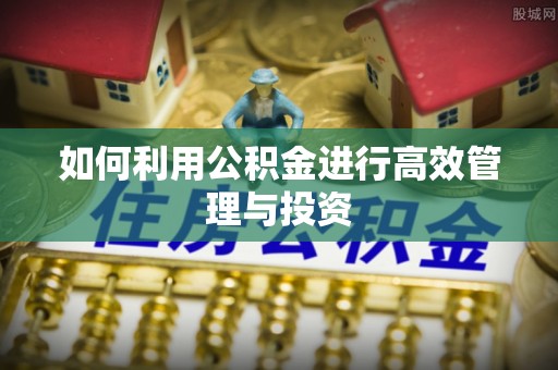 石首如何利用公积金进行高效管理与投资