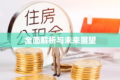 石首全面解析与未来展望