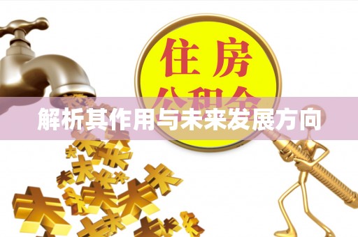 石首解析其作用与未来发展方向