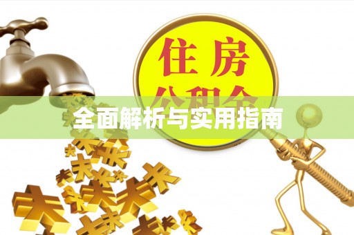石首全面解析与实用指南