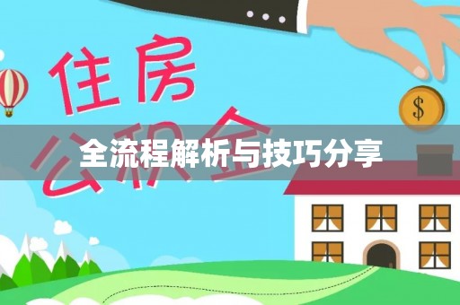 石首全流程解析与技巧分享