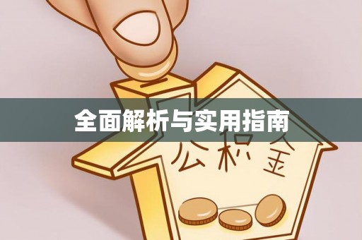 石首全面解析与实用指南